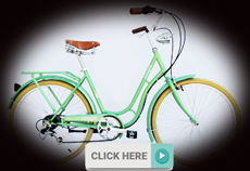 Beach cruiser bike ARS-2619S-1